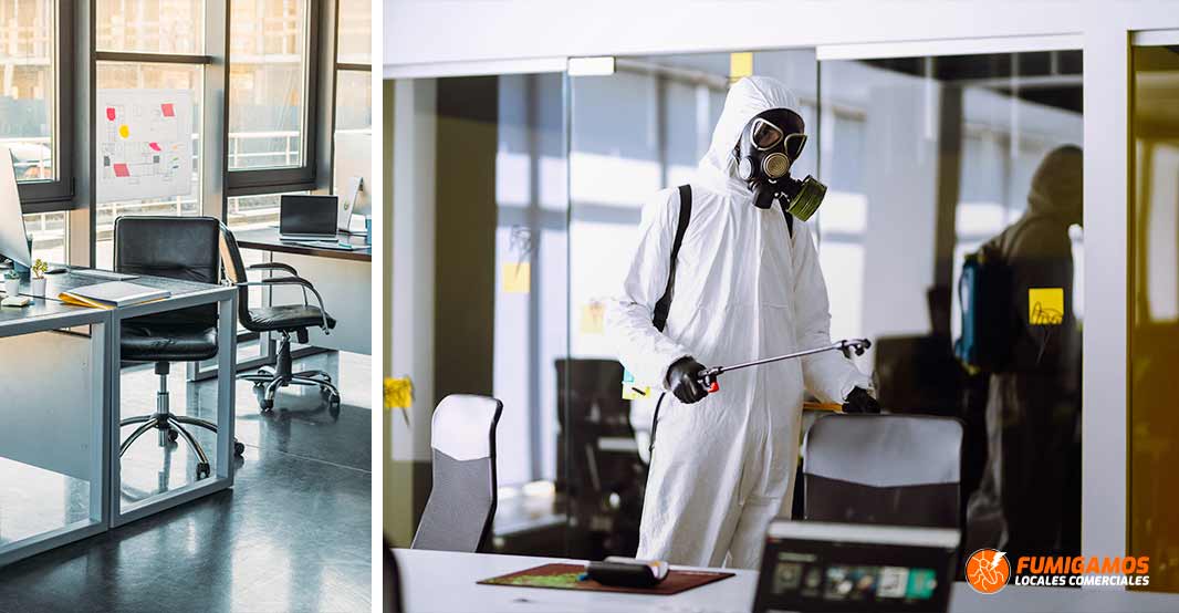 fumigacion-de-oficinas-exterminacion-control-plagas-3
