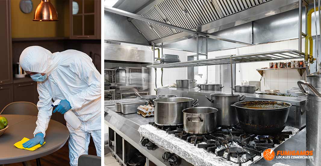 fumigacion-de-restaurantes-bares-exterminacion-control-plagas-3